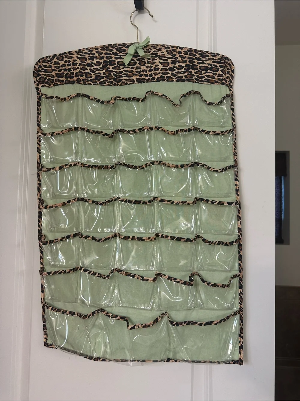 Leopard Trim Hanging Jewelry & Accessory Organizer in Mint Green